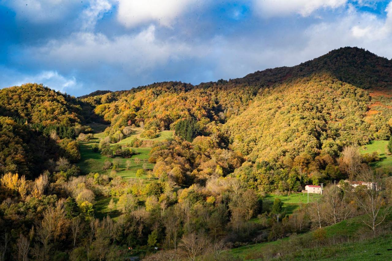 Apartamentos Los Picos De Europa Colio 外观 照片