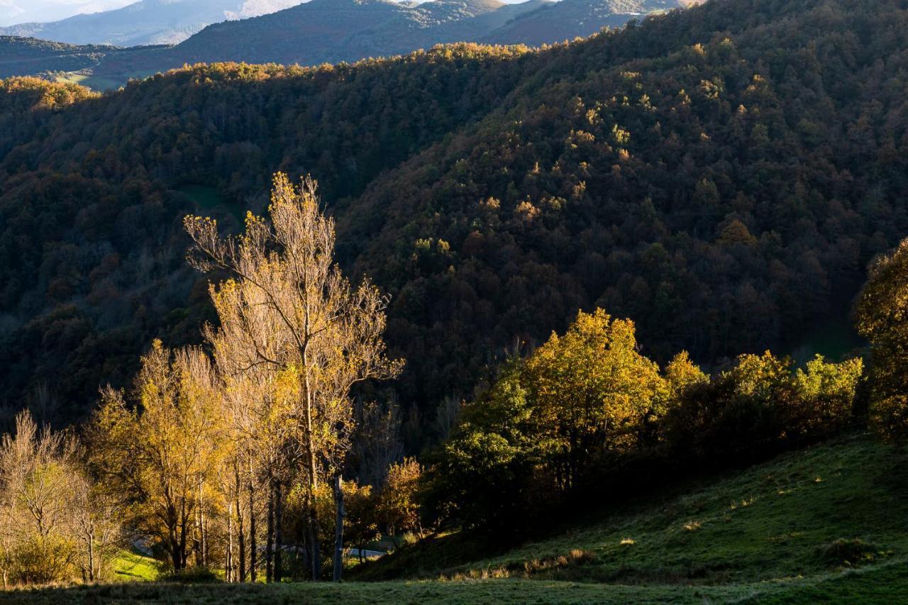 Apartamentos Los Picos De Europa Colio 外观 照片